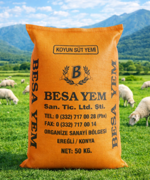 Koyun ve Kuzu Yemleri